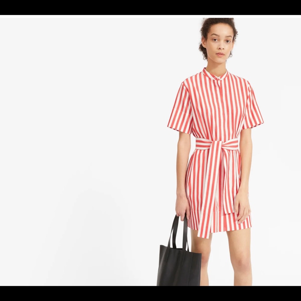 Everlane Collarless Striped Shirtdress 14